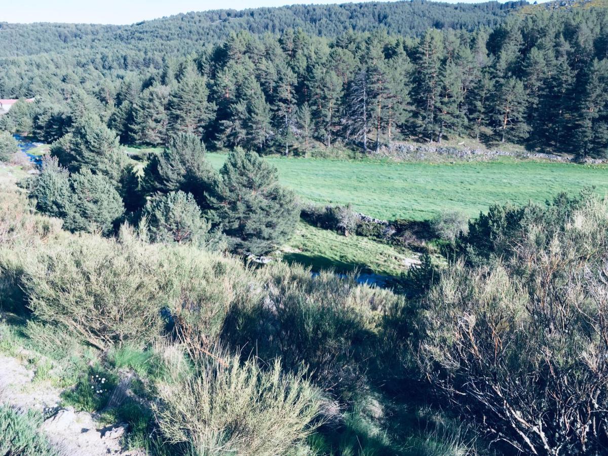 Artesano I Y III Konuk evi Navarredonda de Gredos Dış mekan fotoğraf